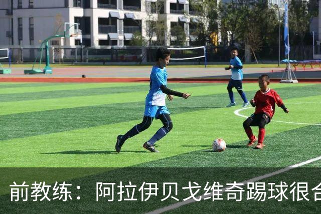 前教练：阿拉伊贝戈维奇踢球很合理，求胜欲也强无法接受失败